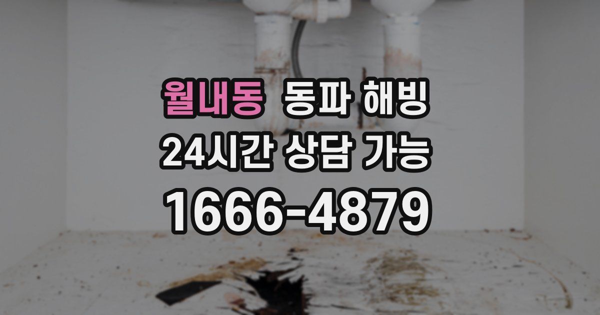 월내동 동파 해빙