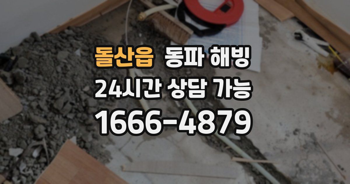 돌산읍 동파 해빙