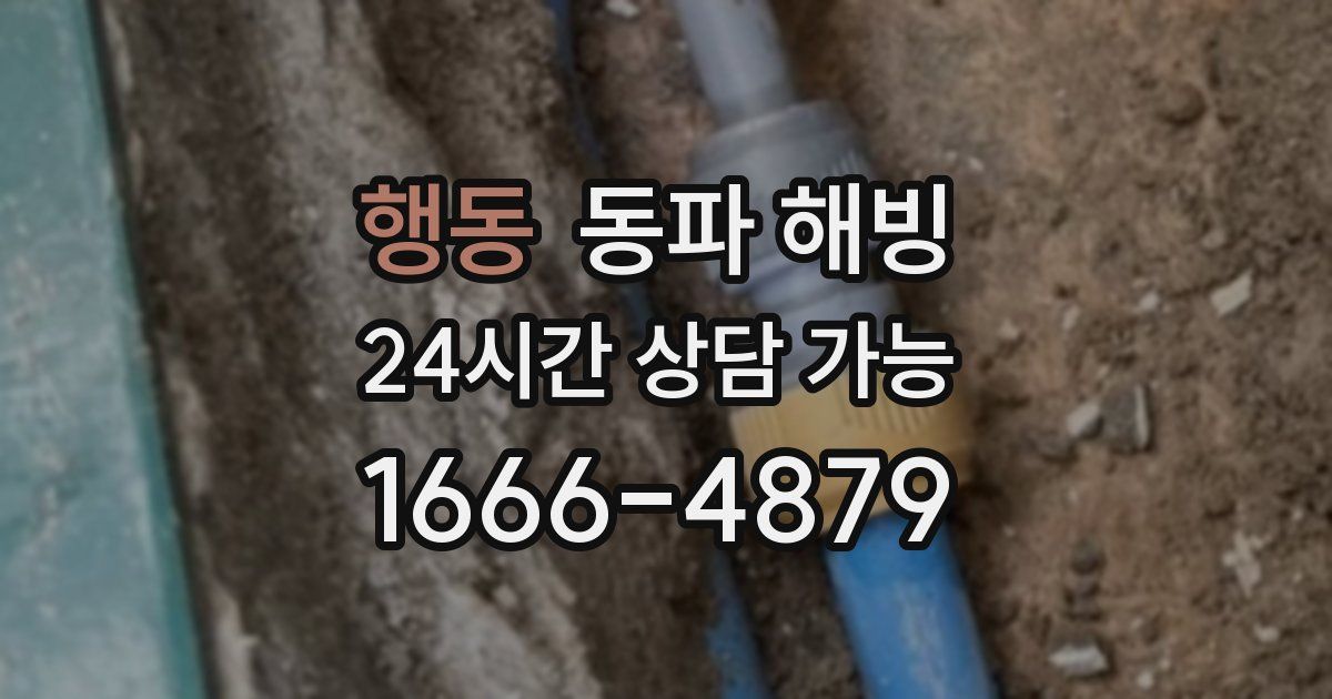 행동 동파 해빙