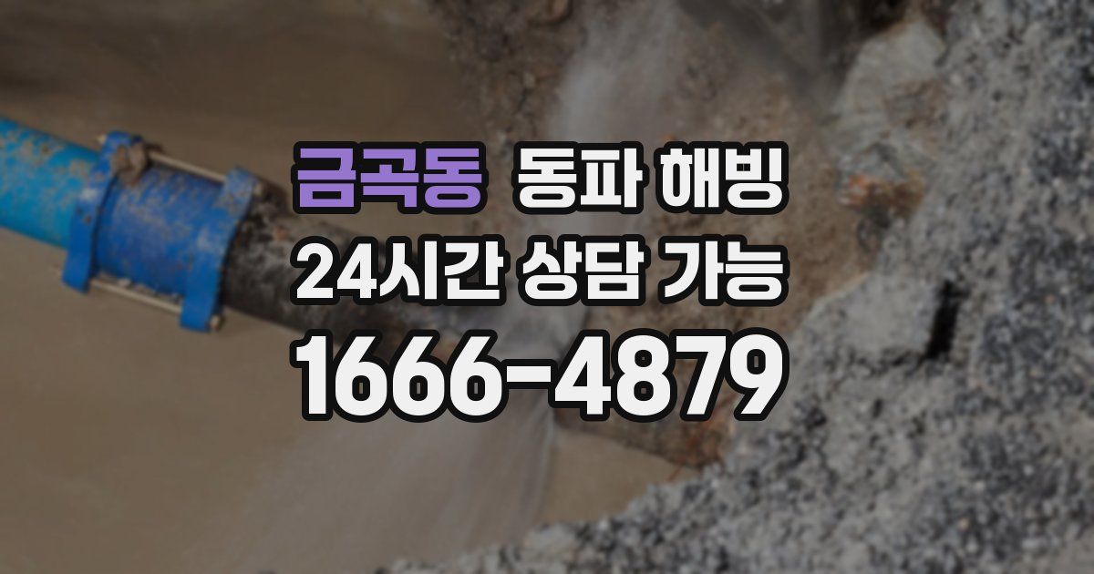 금곡동 동파 해빙