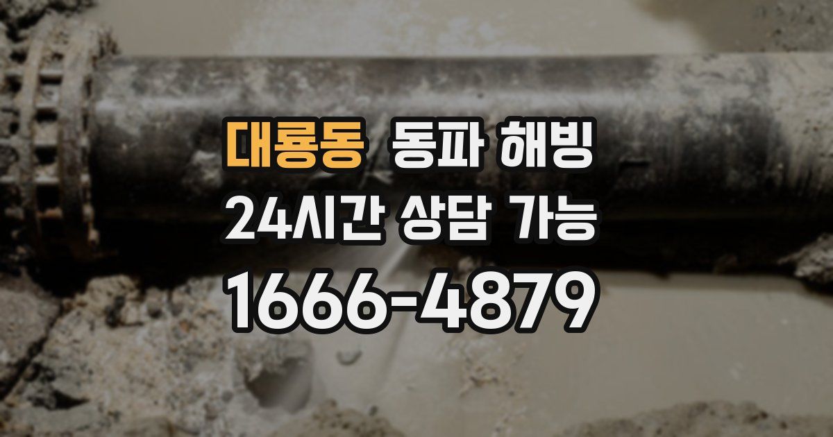 대룡동 동파 해빙