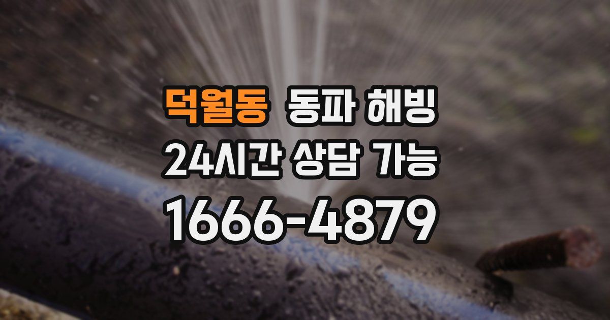 덕월동 동파 해빙