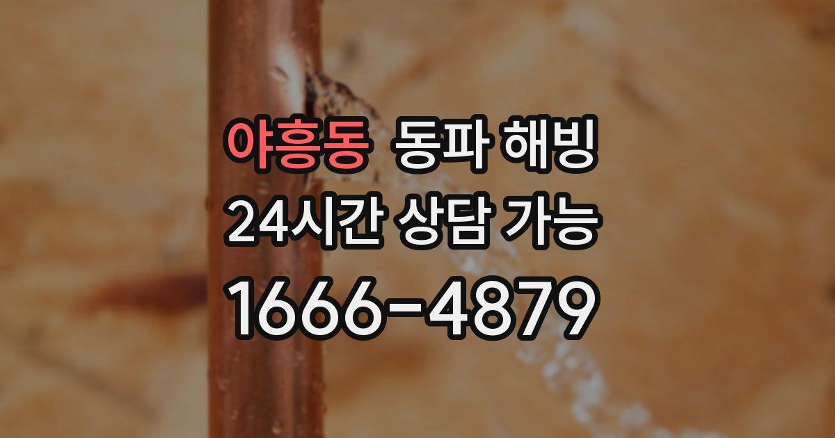 야흥동 동파 해빙