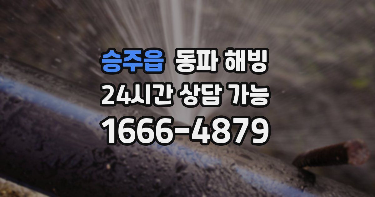 승주읍 동파 해빙