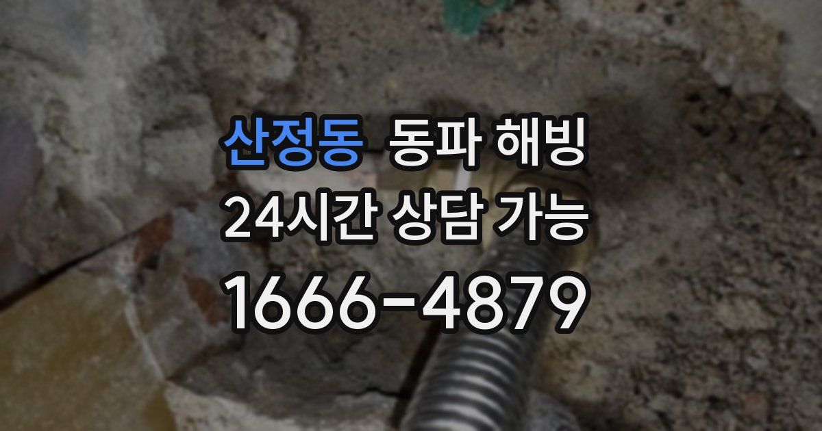 산정동 동파 해빙