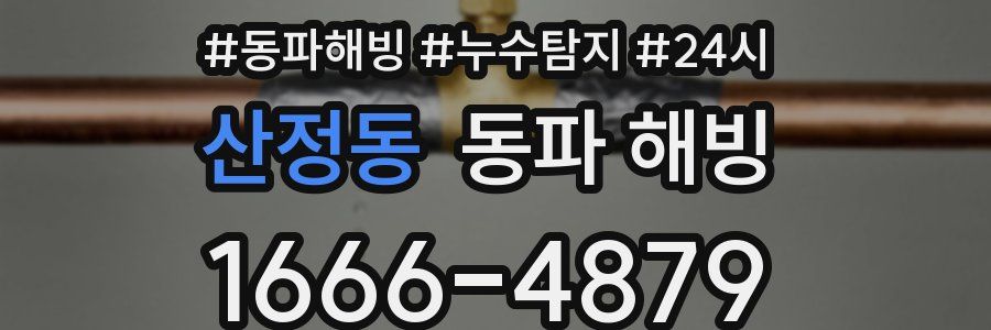 산정동 동파