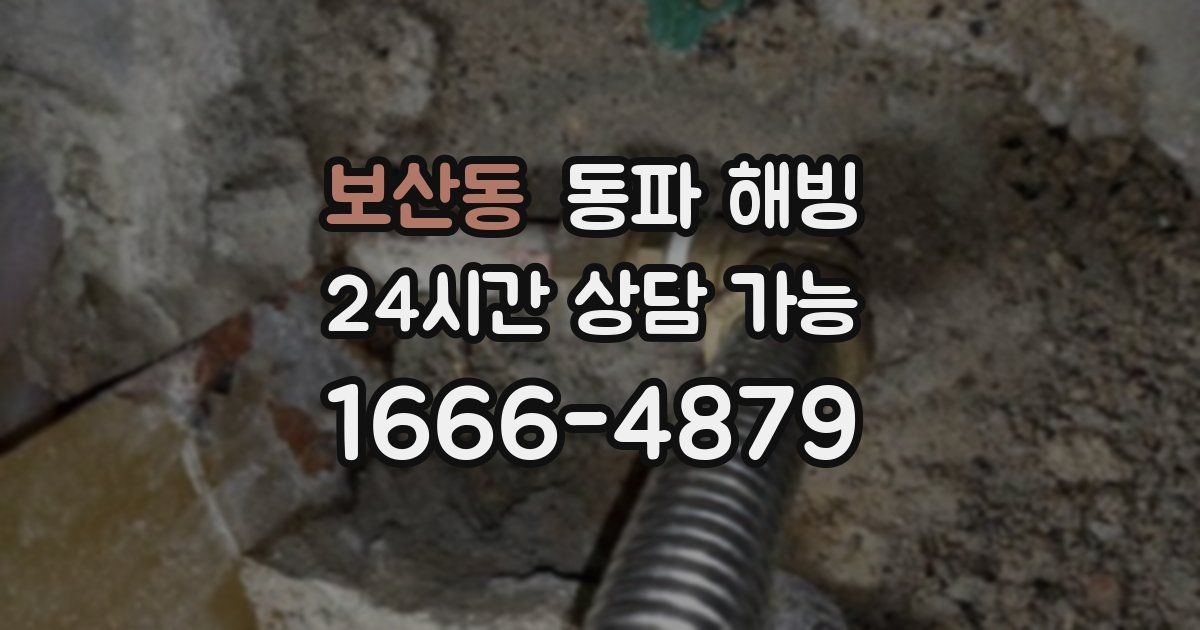 보산동 동파 해빙