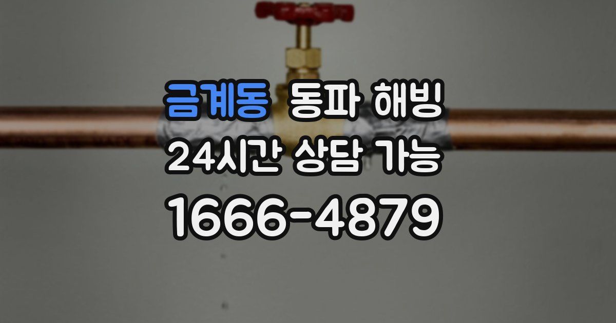 금계동 동파 해빙