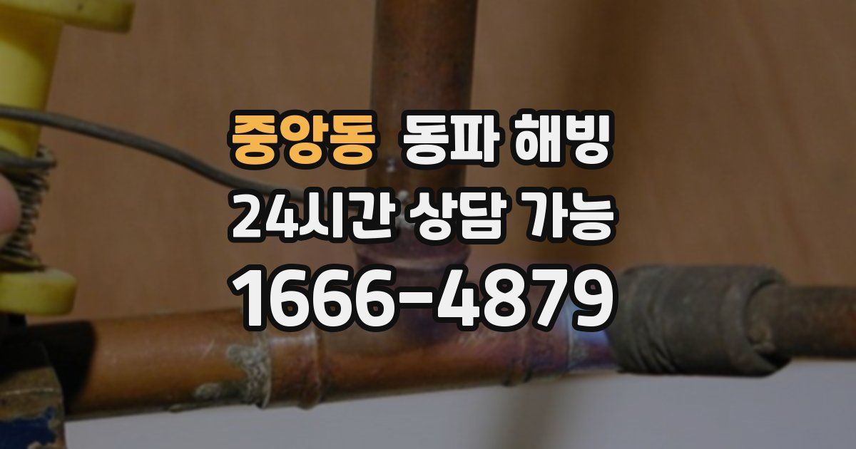 중앙동 동파 해빙