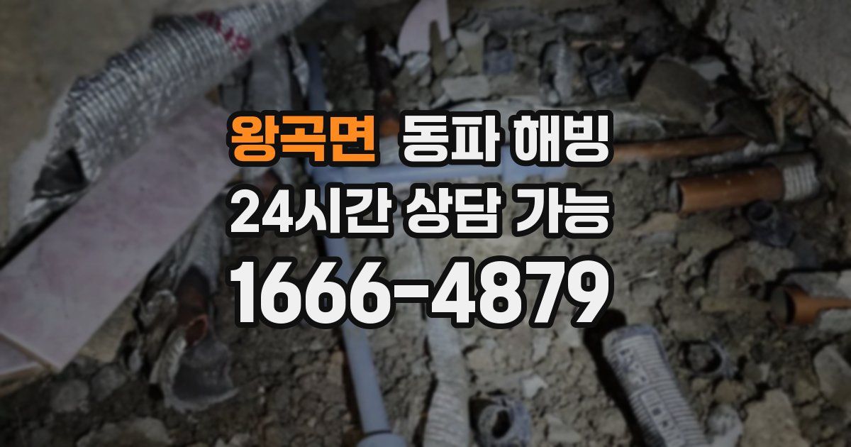 왕곡면 동파 해빙