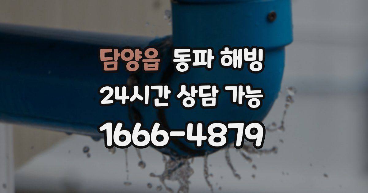 담양읍 동파 해빙