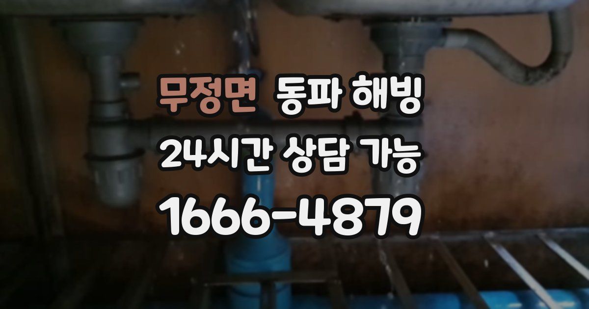 무정면 동파 해빙