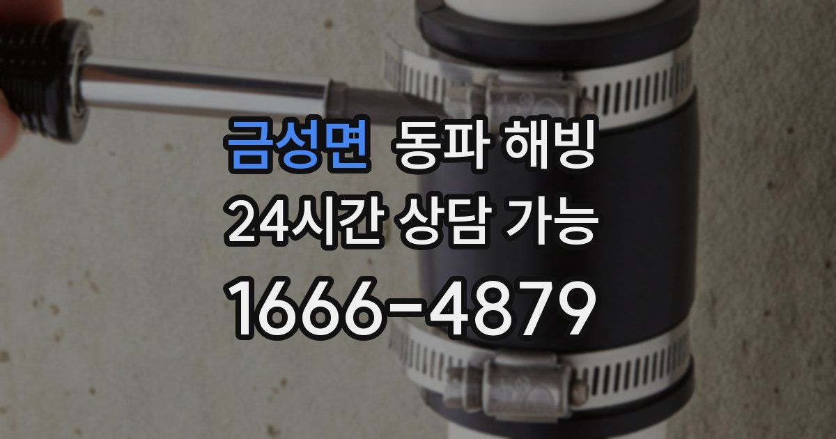 금성면 동파 해빙