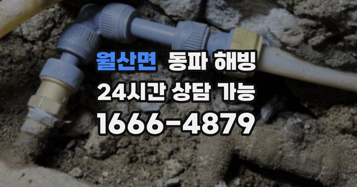 월산면 동파 해빙