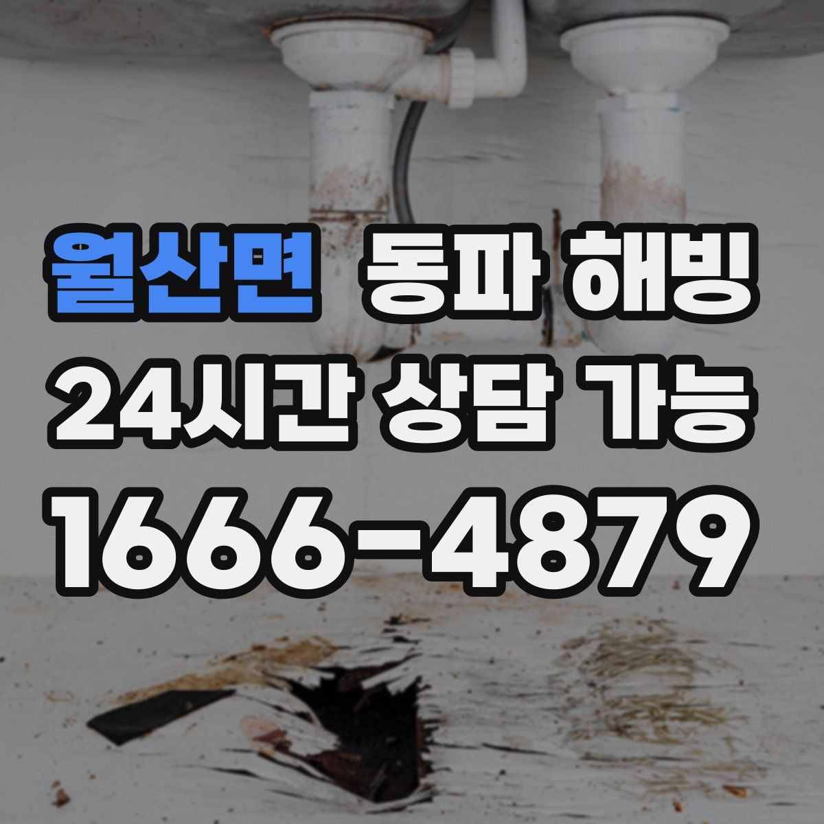 월산면 해빙