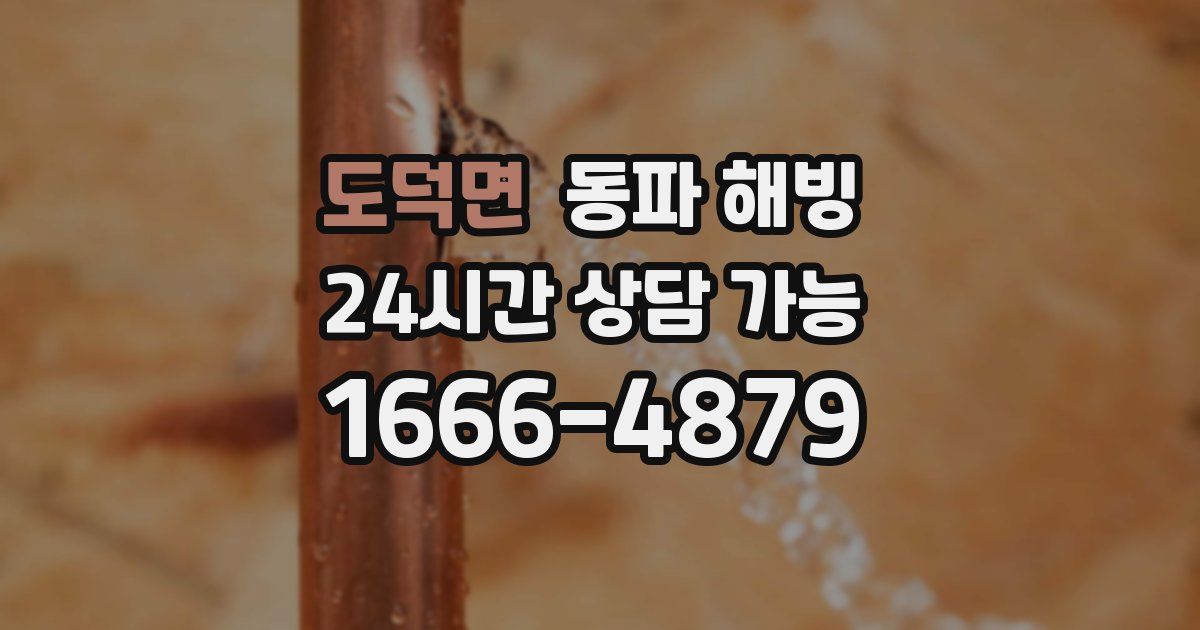 도덕면 동파 해빙