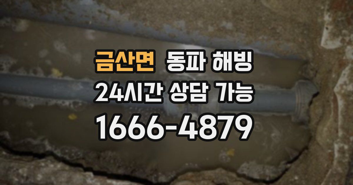 금산면 동파 해빙