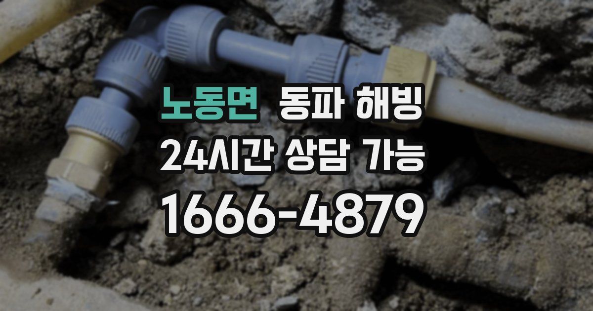 노동면 동파 해빙