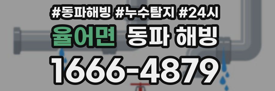 율어면 동파