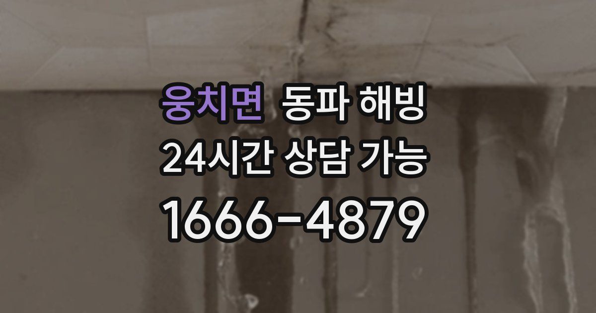 웅치면 동파 해빙