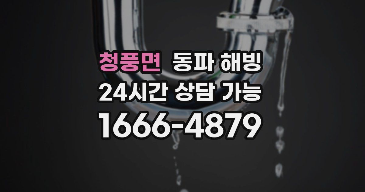 청풍면 동파 해빙