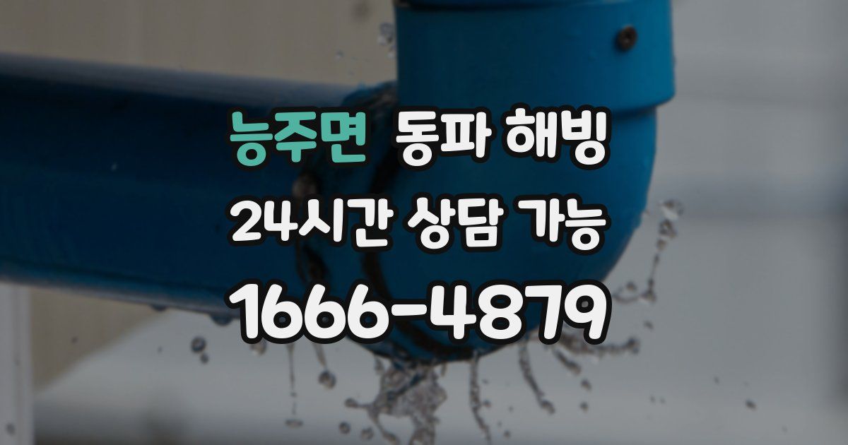 능주면 동파 해빙