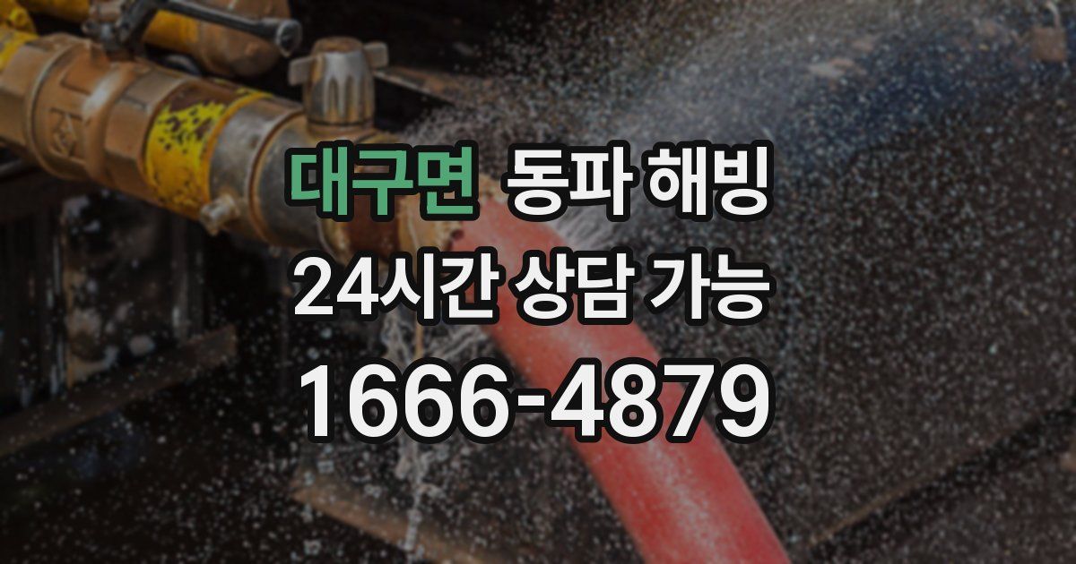 대구면 동파 해빙