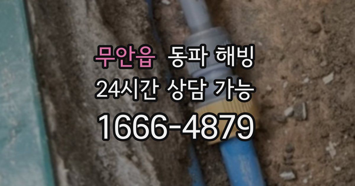 무안읍 동파 해빙