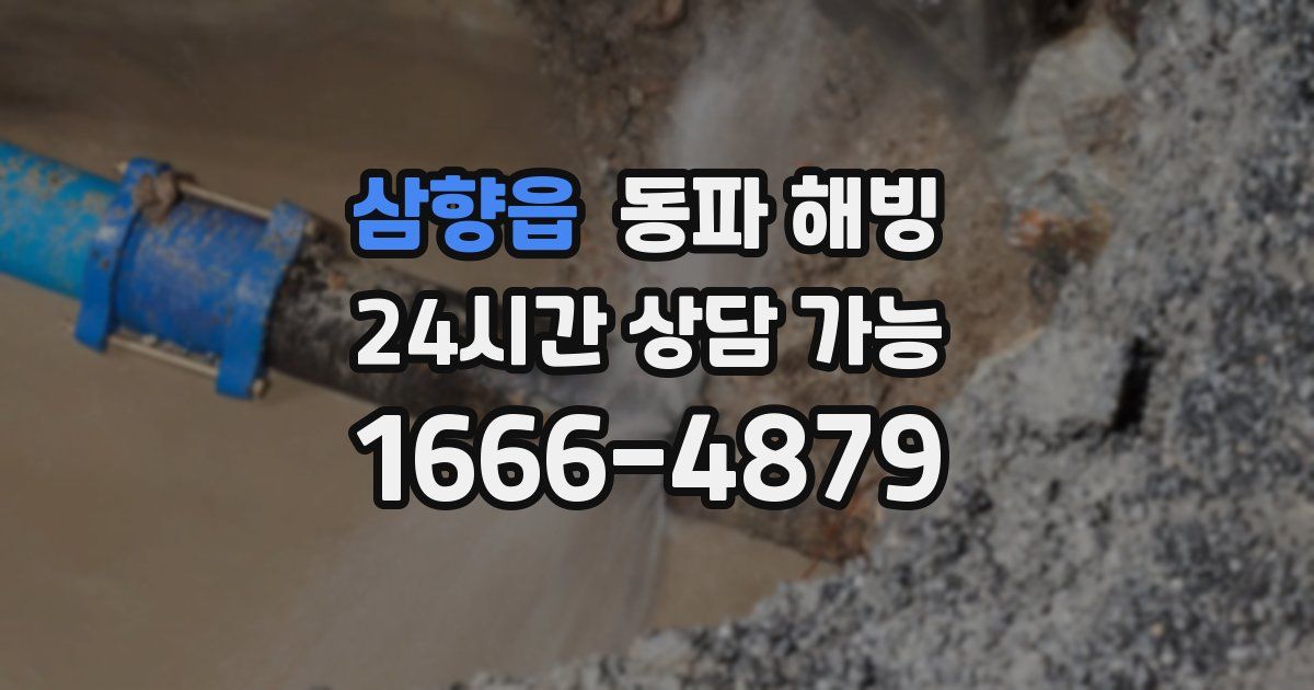 삼향읍 동파 해빙