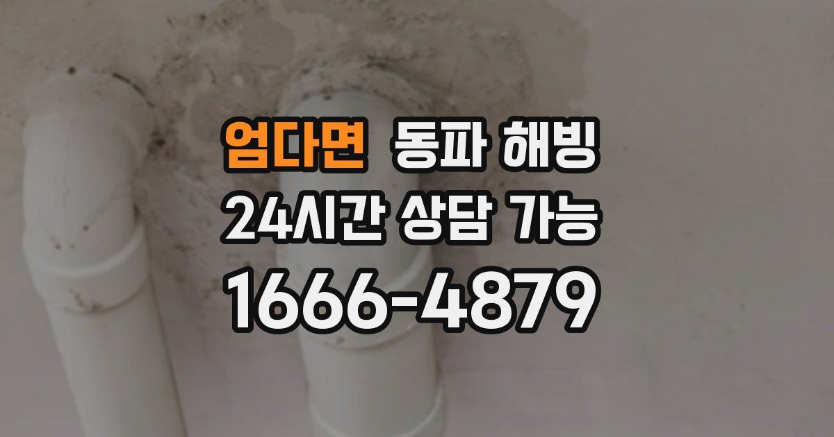 엄다면 동파 해빙