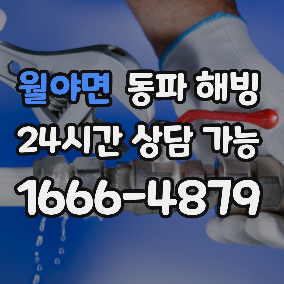 월야면 해빙