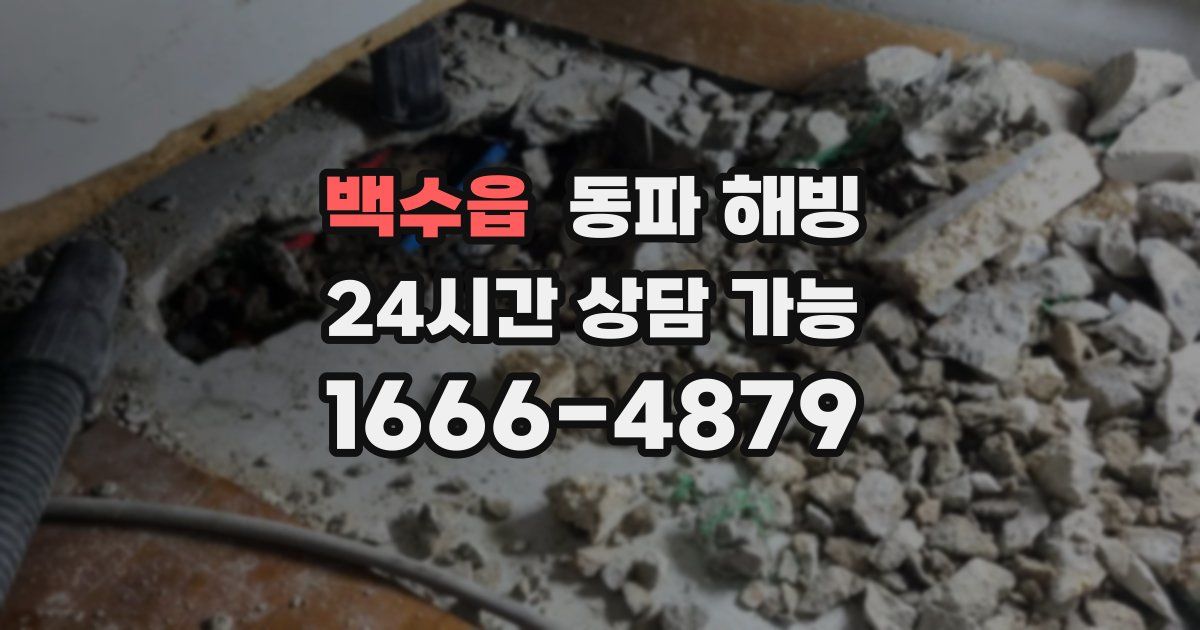 백수읍 동파 해빙