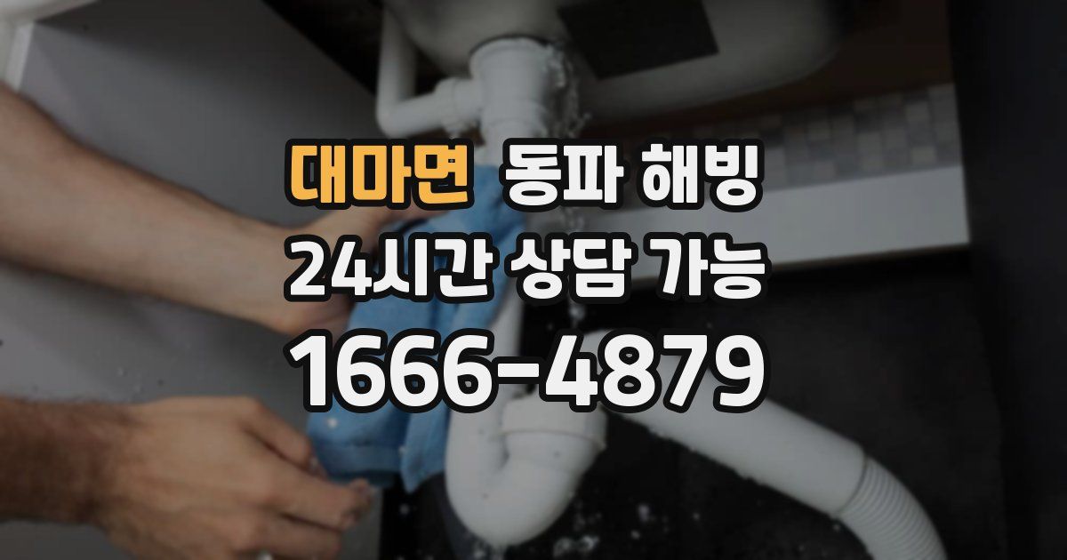 대마면 동파 해빙