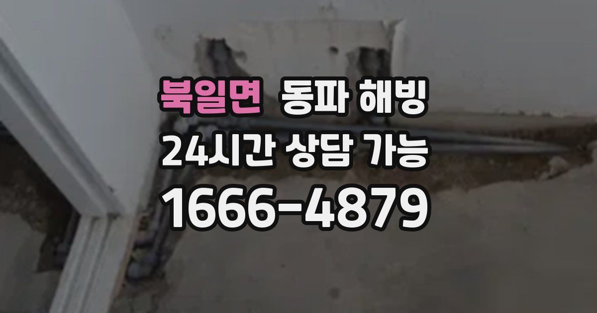 북일면 동파 해빙