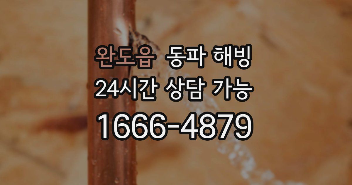 완도읍 동파 해빙