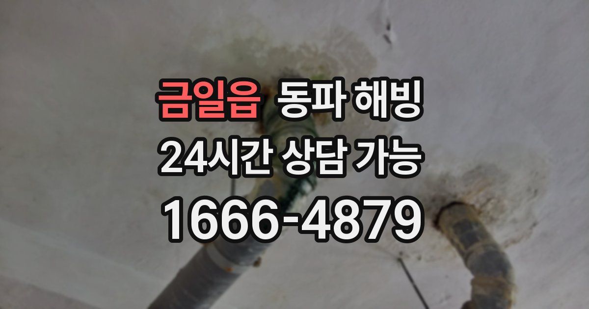 금일읍 동파 해빙