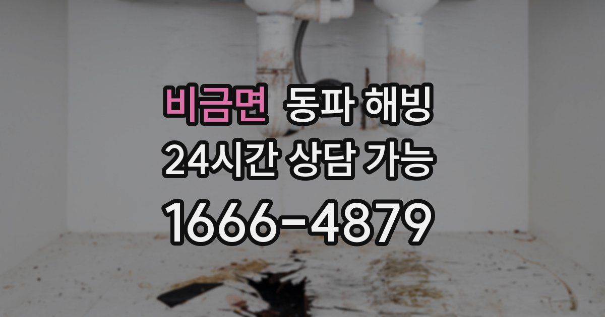 비금면 동파 해빙