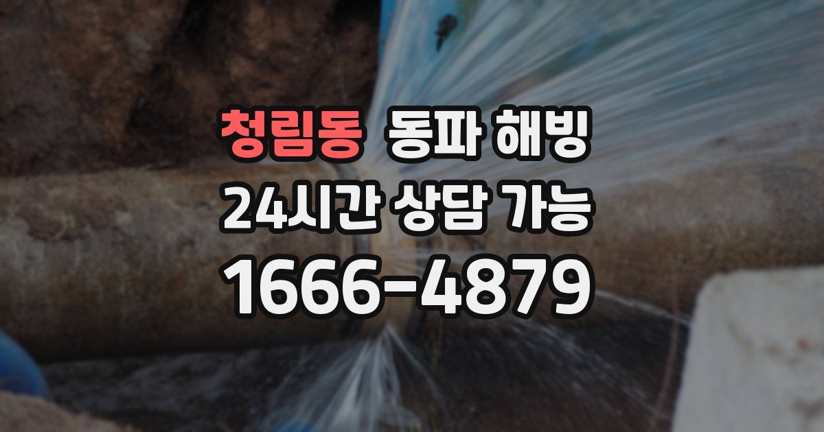 청림동 동파 해빙