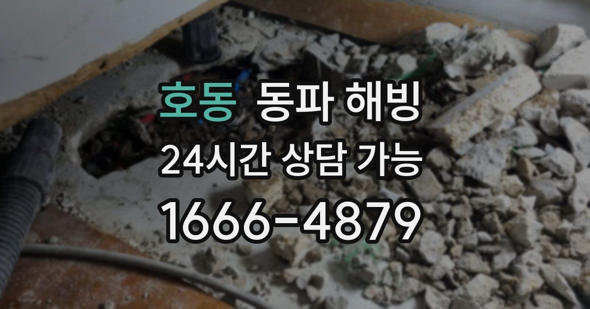 호동 동파 해빙