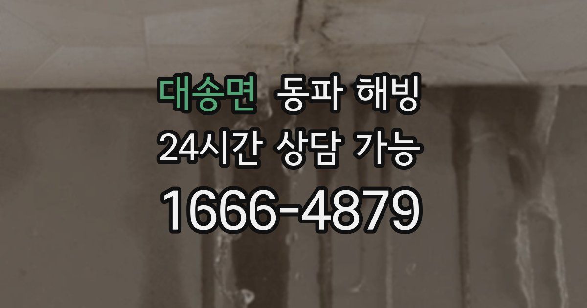 대송면 동파 해빙