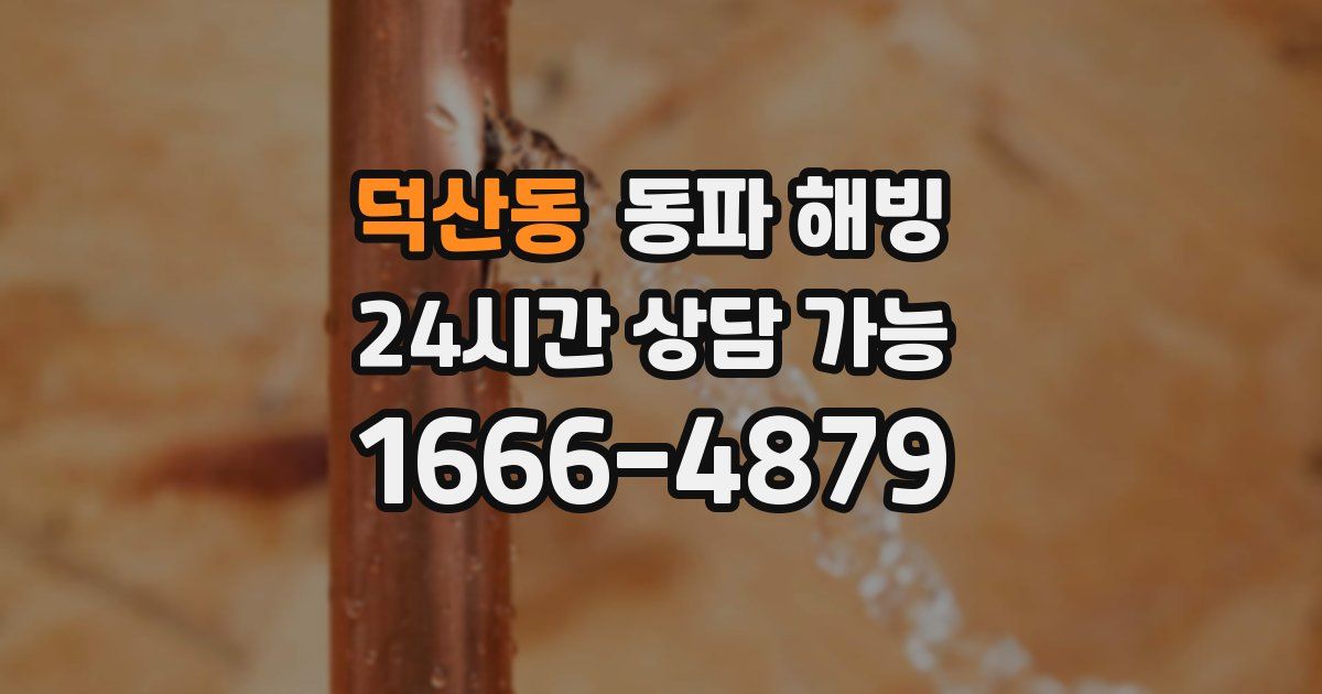 덕산동 동파 해빙