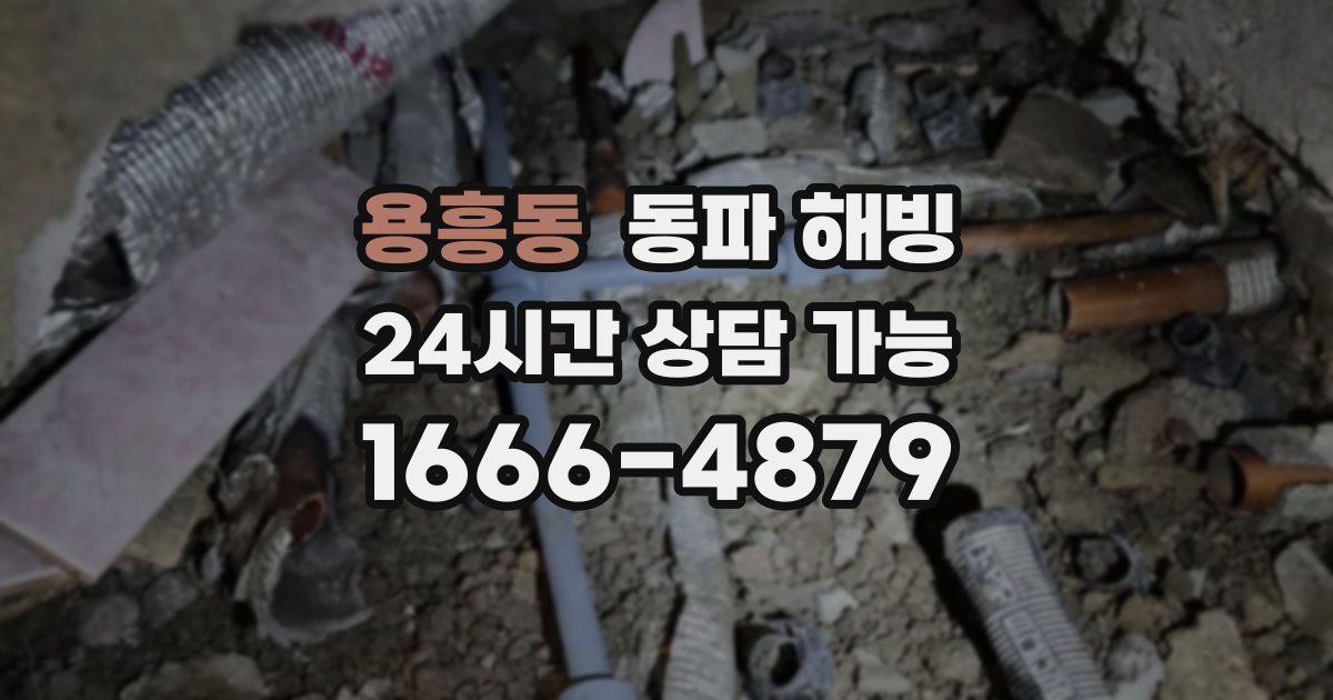 용흥동 동파 해빙