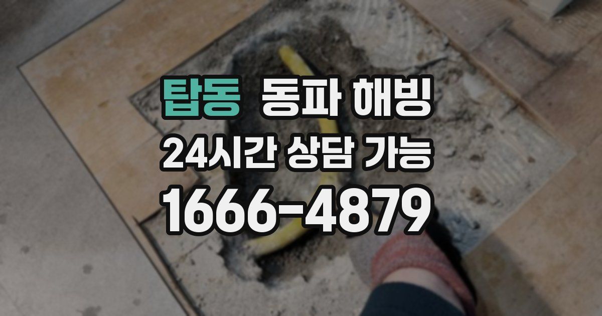 탑동 동파 해빙