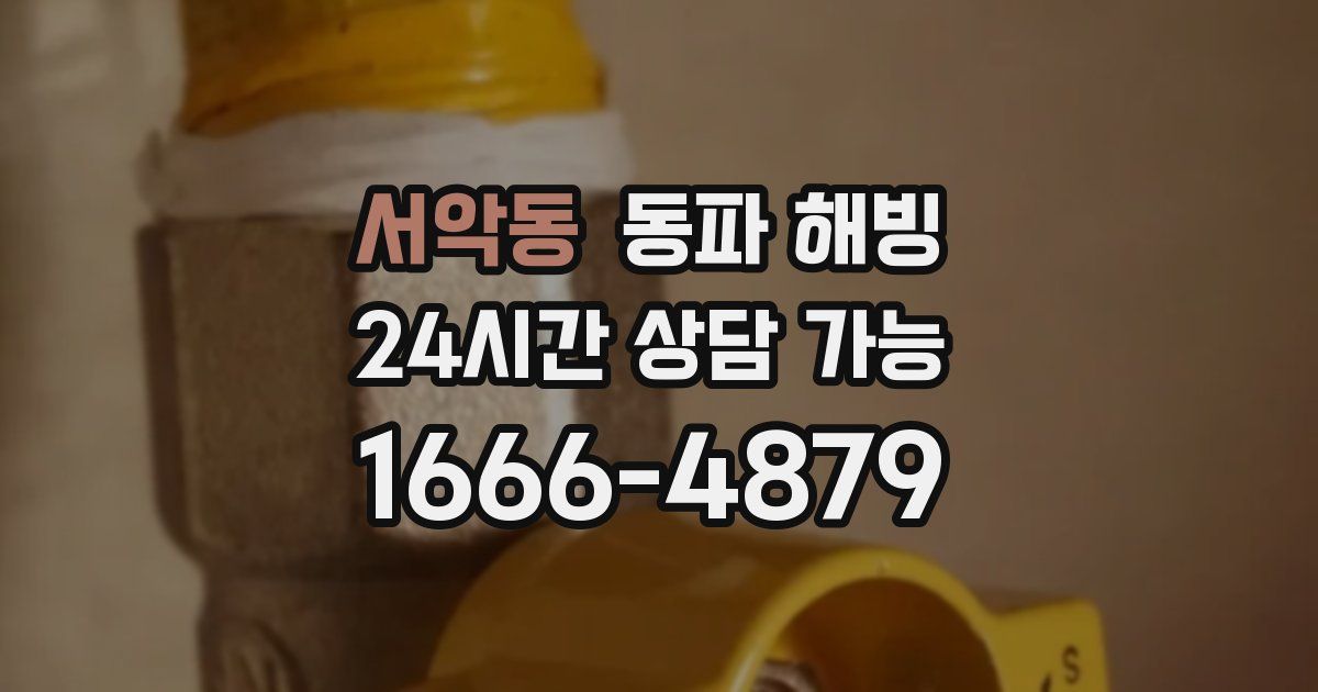 서악동 동파 해빙