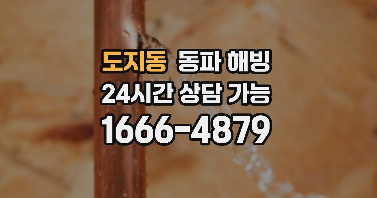 도지동 동파 해빙