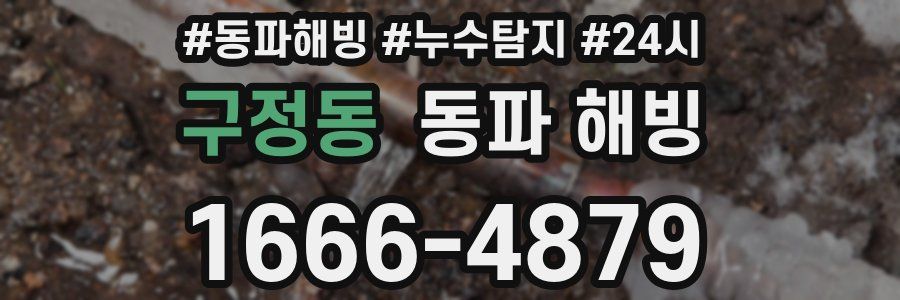 구정동 동파