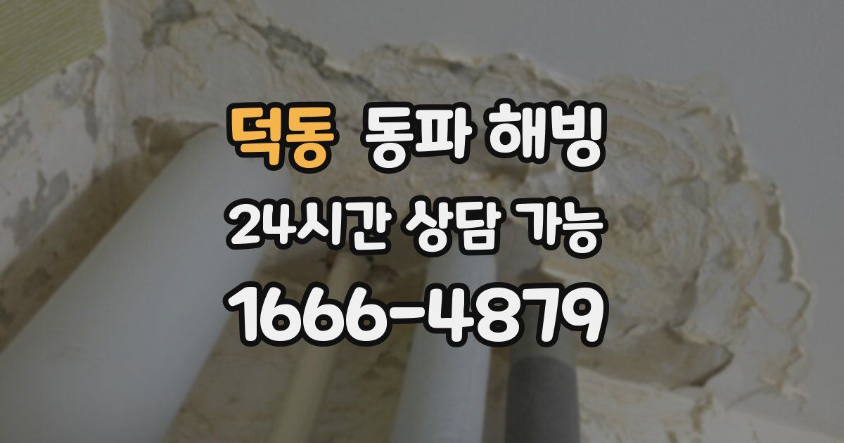 덕동 동파 해빙