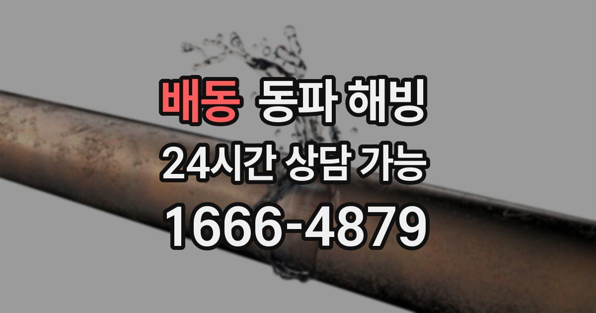 배동 동파 해빙