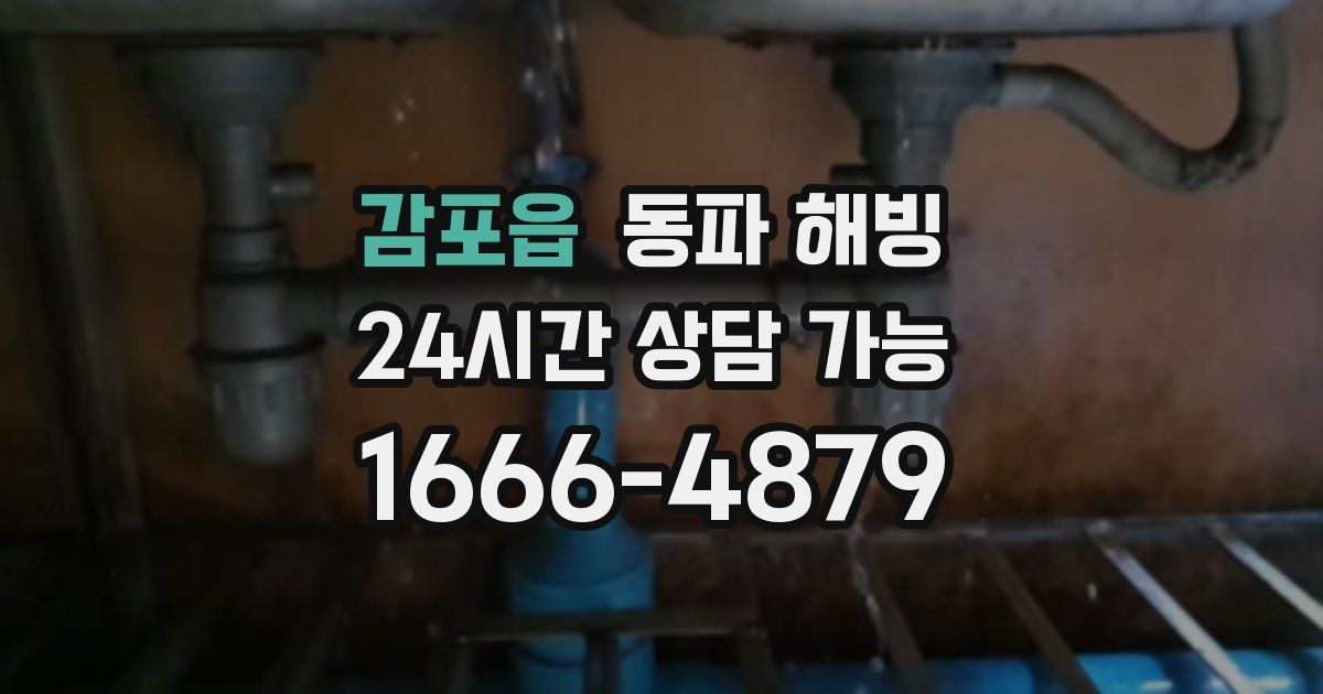 감포읍 동파 해빙