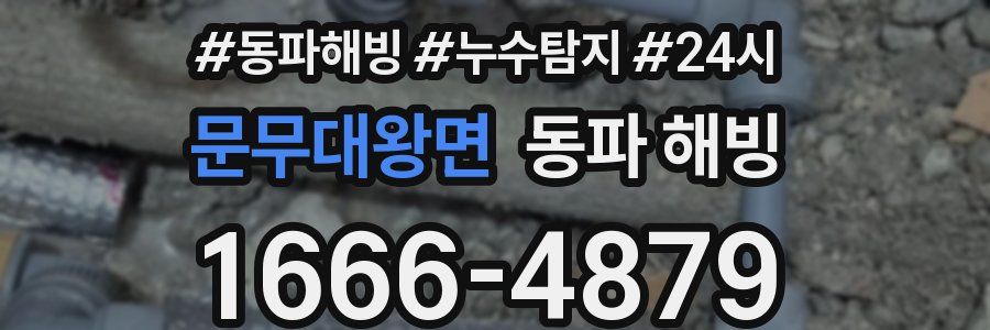 문무대왕면 동파